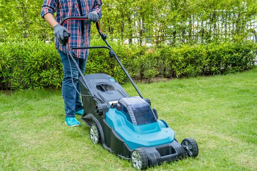 Gardener use lawn mover machine cut green grass, Hobby planting home garden.