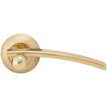 Classic golden door handle side view isolated on white