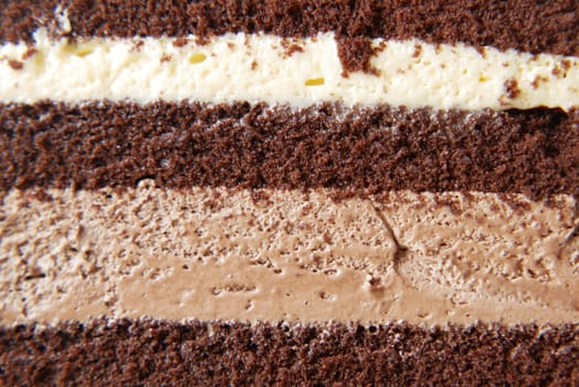 chocolate and cream cake on a plate on table .