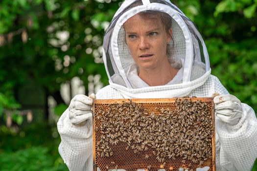 woman with a wax frame with bees in beekeeping.