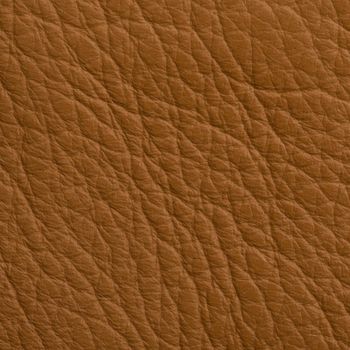 Leather texture closeup macro shot for background