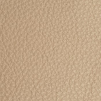 leather macro shot texture for background