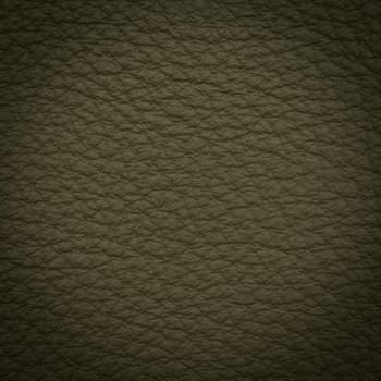 green leather macro shot texture for background