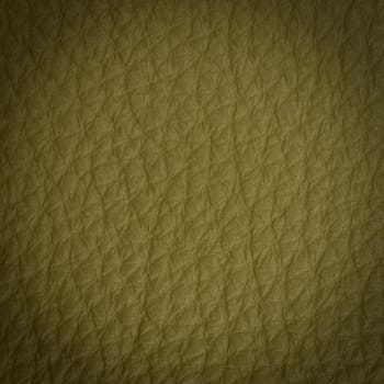 green leather macro shot texture for background