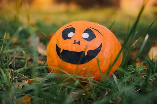 Jackie's Halloween pumpkin is lying on the grass . An article about Halloween. An orange pumpkin with a face. Details of the holiday. Halloween