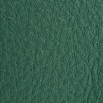 Green leather macro shot texture for background