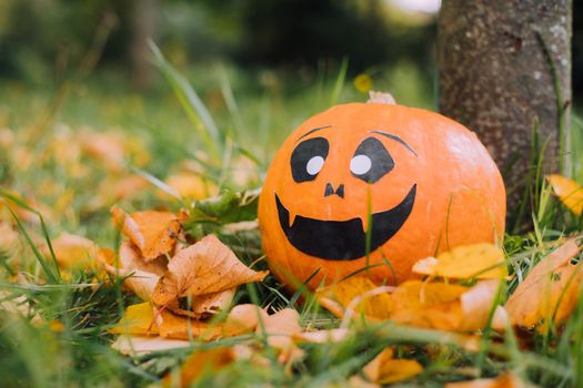 Jackie's Halloween pumpkin is lying on the grass . An article about Halloween. An orange pumpkin with a face. Details of the holiday. Halloween