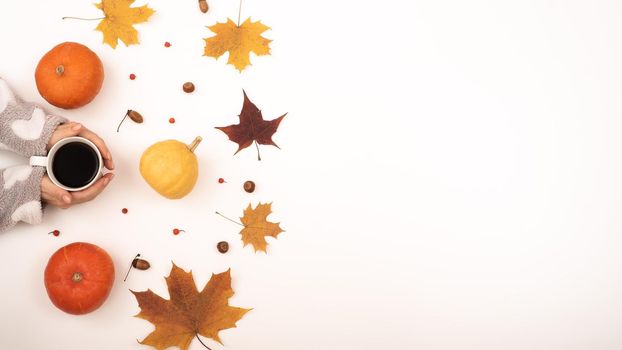 A woman holds a cup of black coffee near the yellow maple leaves of a pumpkin on a white background. Autumn flat lay