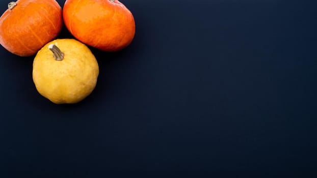 Autumn flat lay. Three pumpkins on a black background. Copy space.