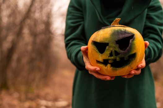 A witch holds a creepy pumpkin in a dense autumn forest. Jack o lantern for halloween.