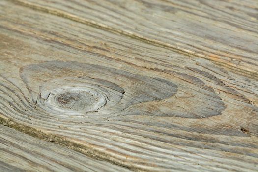 Old wood texture backdrop. Weathered wooden plank.