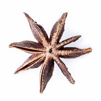 Single Chinese star anise isolated on white background.