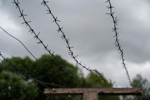 Close-up of barbed wire on gray clouds background