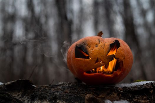 Scary pumpkin with tongues of flame in a dense forest. Jack o lantern for halloween.