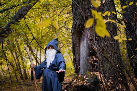 A wizard with a long gray beard and a cloak in a deep forest. An elderly man in a witcher costume.