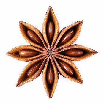 Single Chinese star anise isolated on white background.