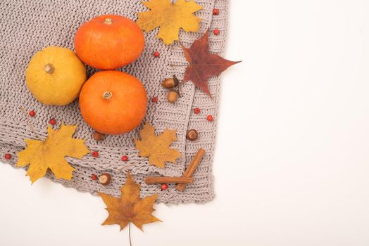 Autumn flat lay. Pumpkins and maple leaves viburnum and cinnamon and acorns on a gray plaid on a white background. Copy space.