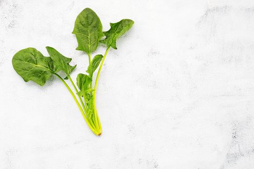 Fresh leaves of spinach setup on shabby concrete background with top view and copy space.