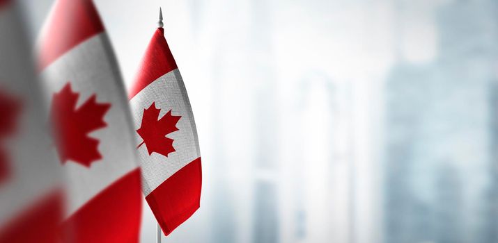 Small flags of Canada on a blurry background of the city.