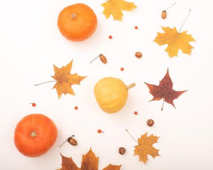 Autumn flat lay. Maple leaves, pumpkins and acorns on a white background.