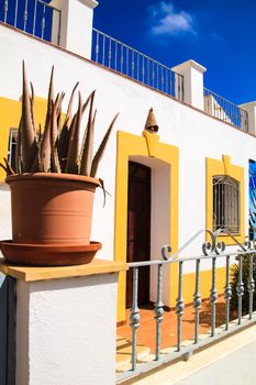 Whitewashed houses and beautiful cactus in Rodalquilar, Andalusia, Spain