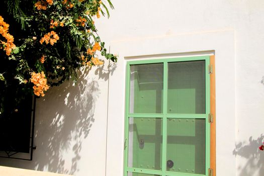 Whitewashed house and colorful flowers on the wall in Rodalquilar, Andalusia, Spain