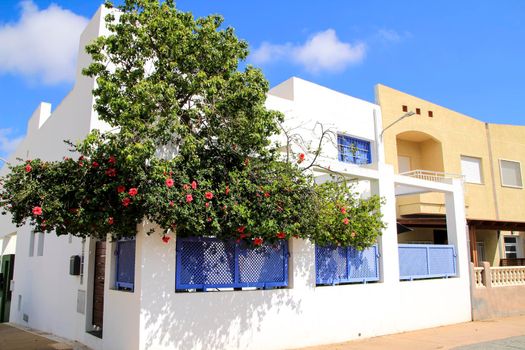 Whitewashed houses with bougainvillea in Rodalquilar, Andalusia, Spain