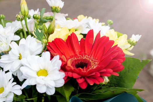 Bright red flower in a bouquet close up