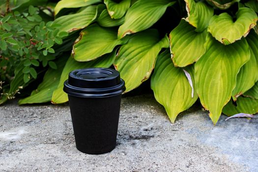 Black paper cup with coffee on a background of green leaves