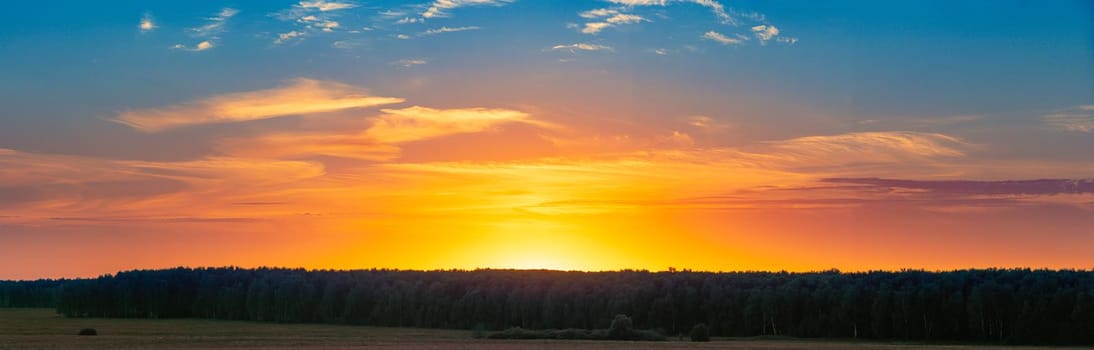 Panorama of sunset scene over forest and field. Blue and orange cloudy sky in background