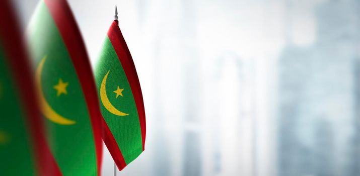 Small flags of Mauritania on a blurry background of the city.