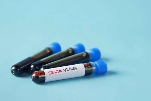 close up of delta corona virus blood test tube on blue background ,