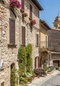 Spello, Italy - Circa June 2021: flowers in ancient street. Spello is located in Umbria region, Italy.