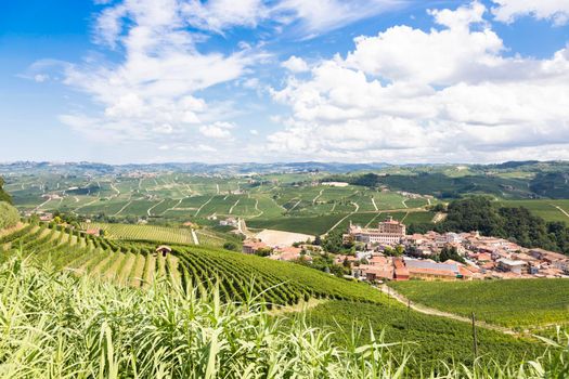 Panoramic countryside in Piedmont region, Italy. Scenic vineyard hill with the famous Barolo Castle and city.