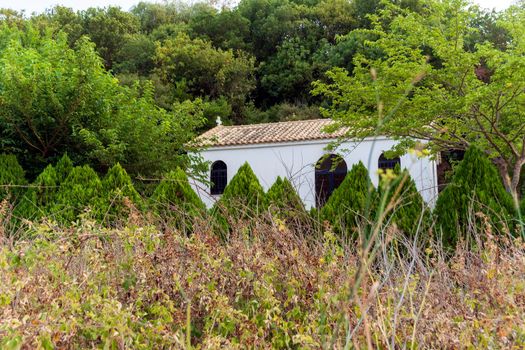 A small, orthodox, stone, Christian church in the mountains forest on a summer, sunny day. Greece.