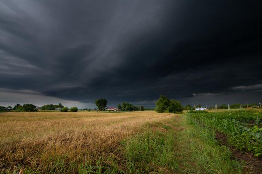 Summer countryside landscape with a thundercloud