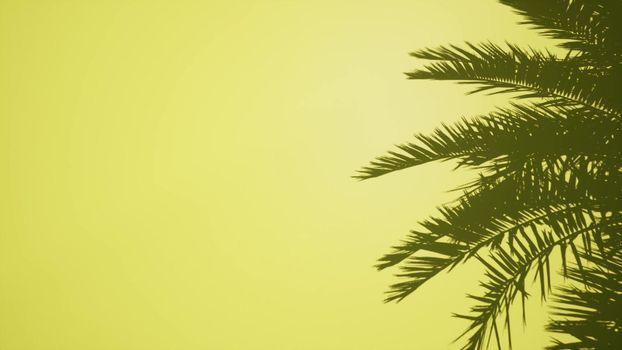 Palm leaves on yellow wall empty clear Mockup 3d render