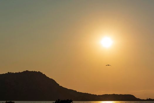 Gialova lagoon sunset. The Gialova lagoon is one of the most important wetlands in Europe, as it constitutes the southernmost migratory station of migratory birds in the Balkans to and from Africa.