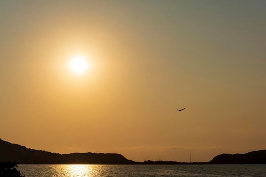 Gialova lagoon sunset. The Gialova lagoon is one of the most important wetlands in Europe, as it constitutes the southernmost migratory station of migratory birds in the Balkans to and from Africa.