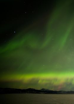 Green sparkling show of Aurora borealis or Northern Lights on night sky winter scene of Lake Laberge, Yukon Territory, Canada