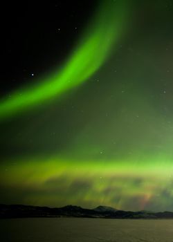 Green sparkling show of Aurora borealis or Northern Lights on night sky winter scene of Lake Laberge, Yukon Territory, Canada