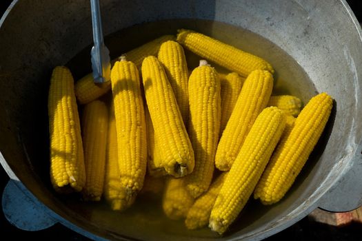 The corns cob are boiled in a large cauldron. Street food festival. Selective focus.