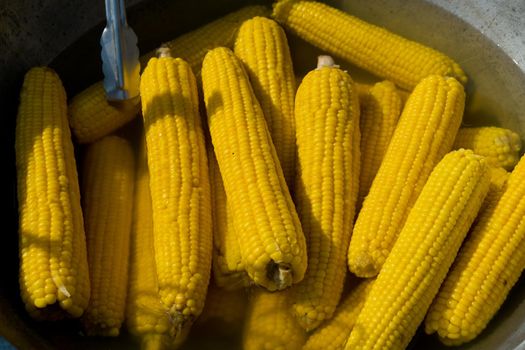 The corns cob are boiled in a large cauldron. Street food festival. Selective focus.