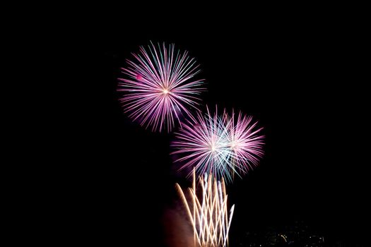 Many flashing colorful fireworks in event amazing with black background celebrate New Year, holiday and festival in night.