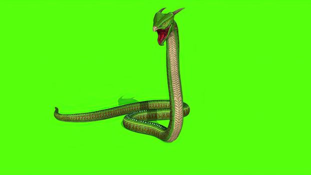 3d illustration - Snake  Python on Green Screen background