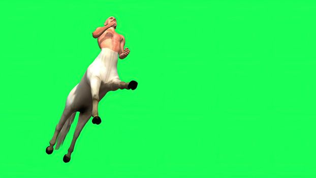 3d illustration - Male Centaur Half Horse Half Man on green screen