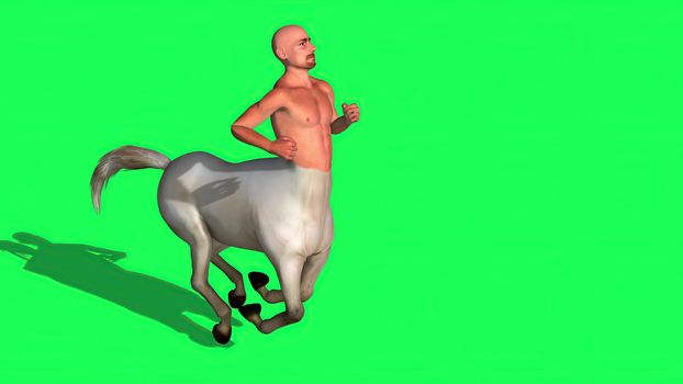 3d illustration - Male Centaur Half Horse Half Man on green screen