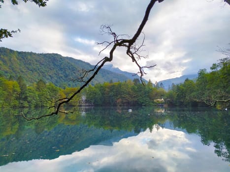 Dead tree branch on a mountain lake on a cloudy day