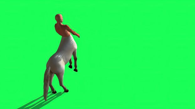 3d illustration - Male Centaur Half Horse Half Man on green screen