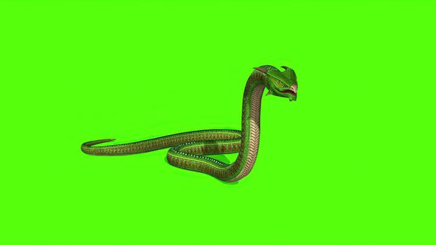 3d illustration - Snake  Python on Green Screen background